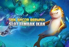 Trik Tembak Ikan Terbaru 2024